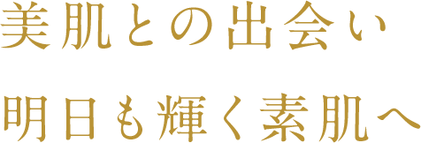 美肌との出会い明日も輝く素肌へ