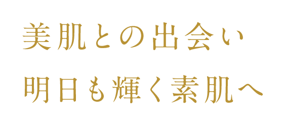 美肌との出会い明日も輝く素肌へ